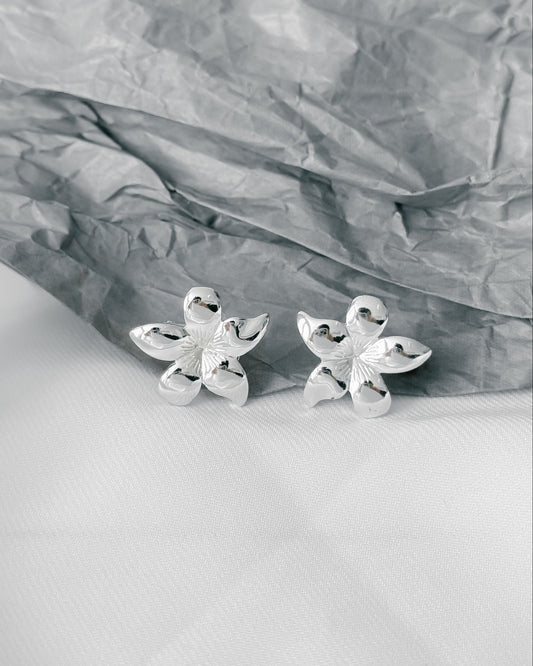 Klipsy Avon - Vintage Stories